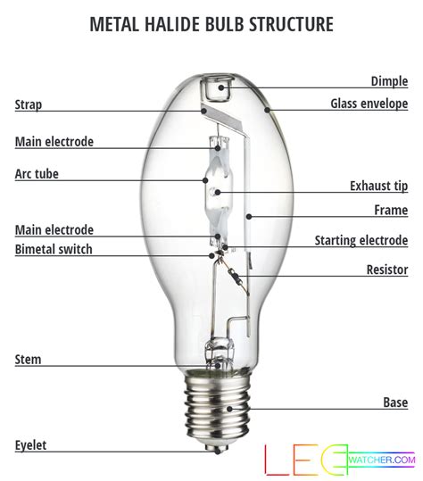 metal halide lights meaning